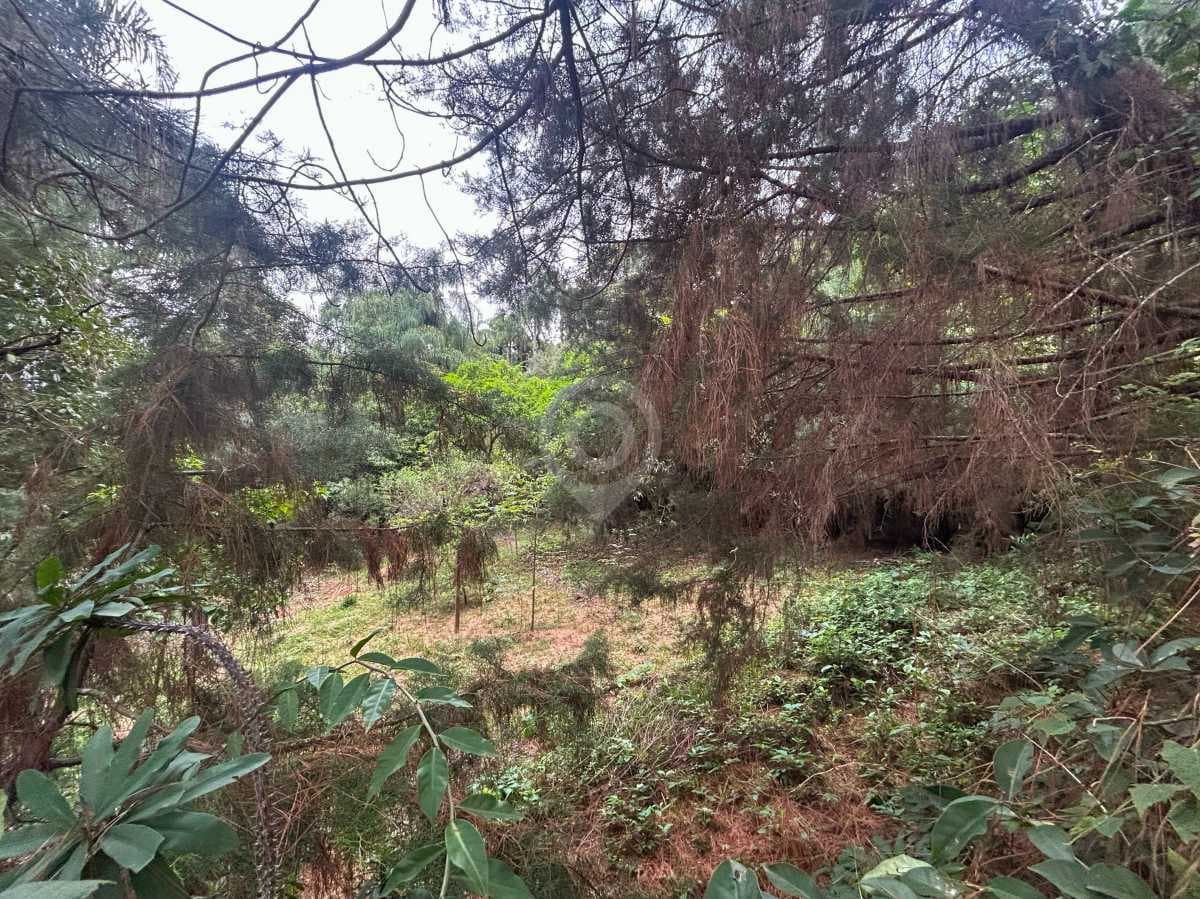 Terreno no Chácara San Martin I — foto 2