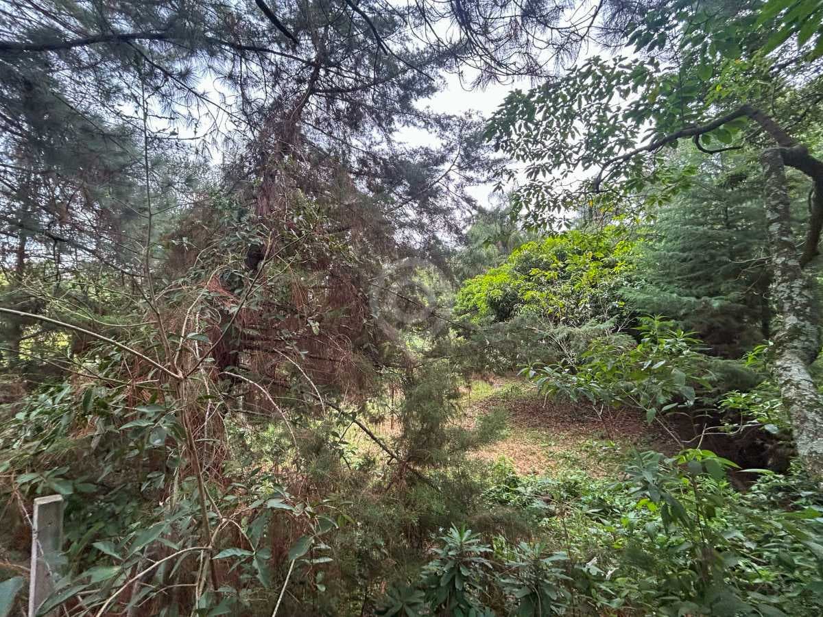 Terreno no Chácara San Martin I — foto 3