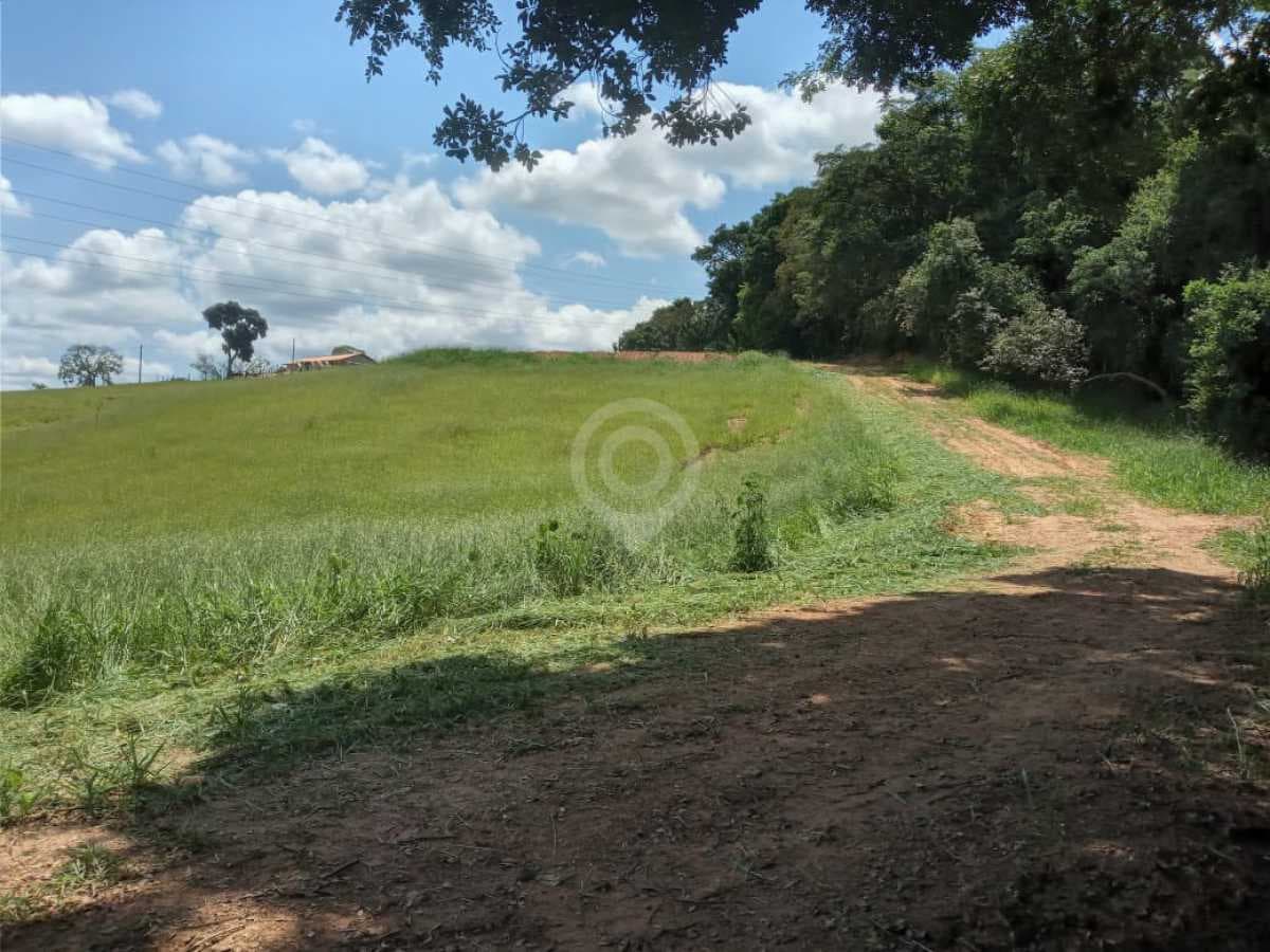 Terreno no Bairro Morro Azul — foto 3