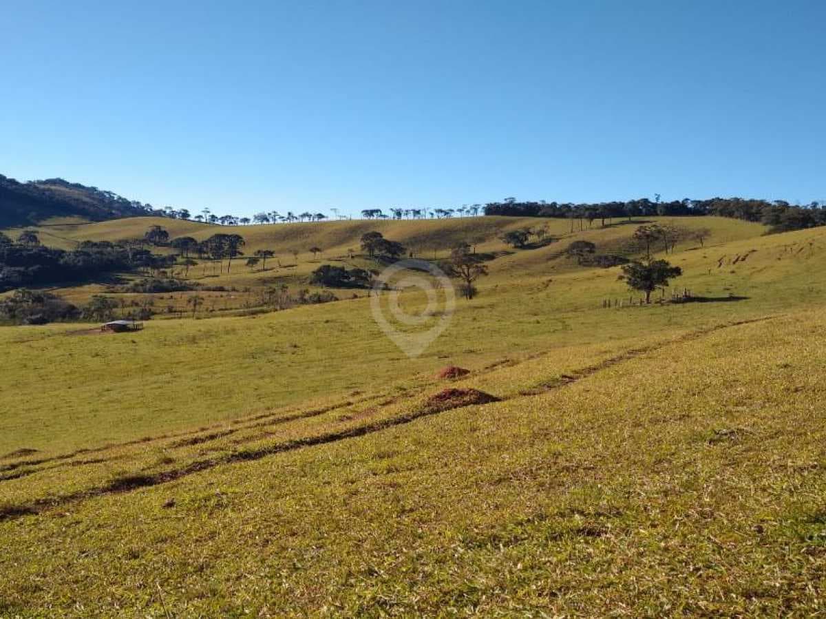 Fazenda no Brasiléia — foto 3