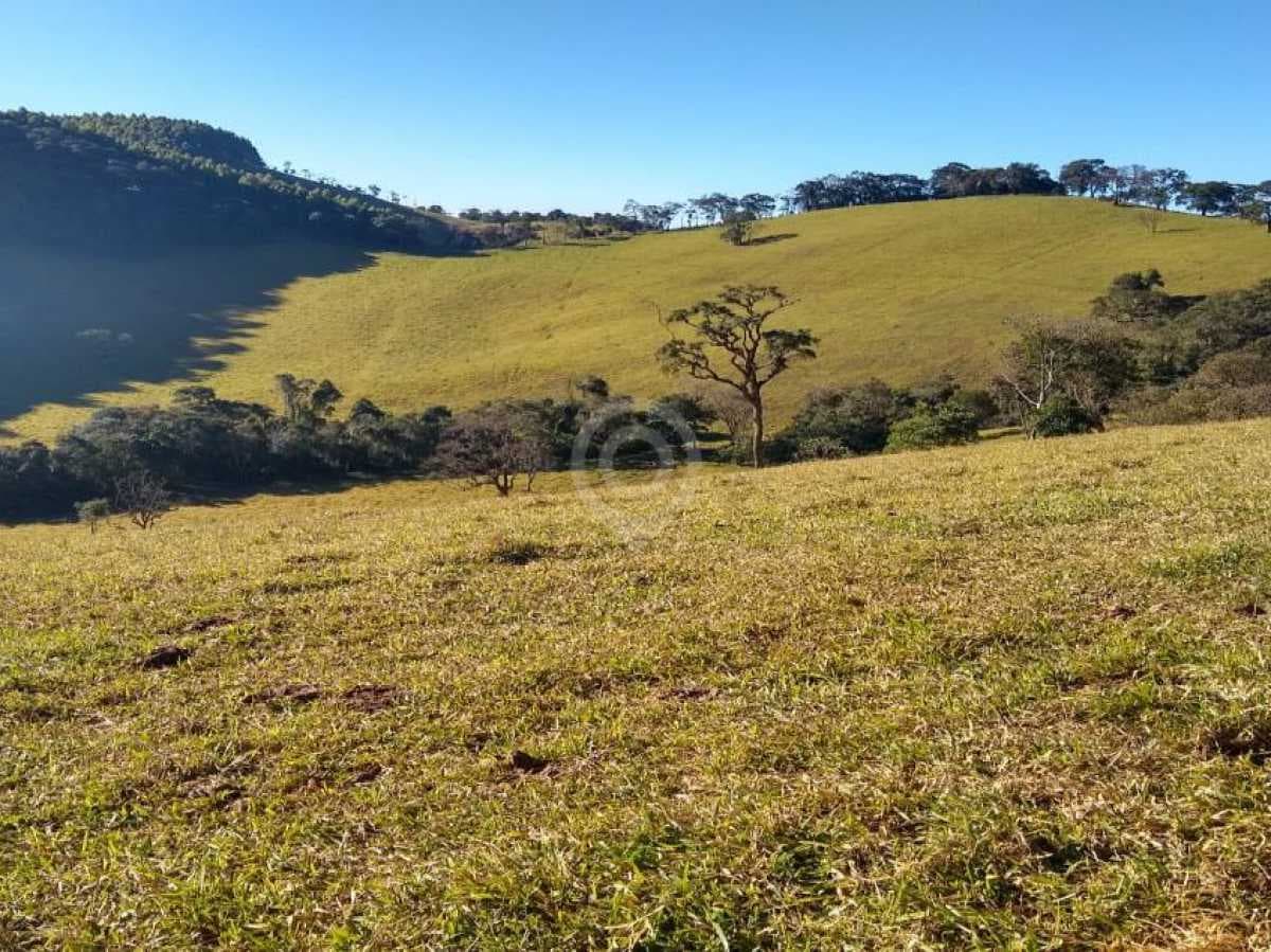 Fazenda no Brasiléia