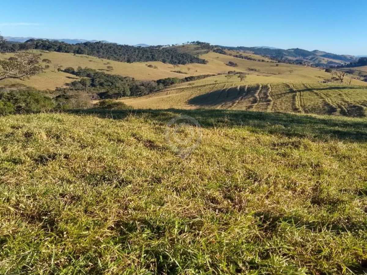 Fazenda no Brasiléia — foto 2