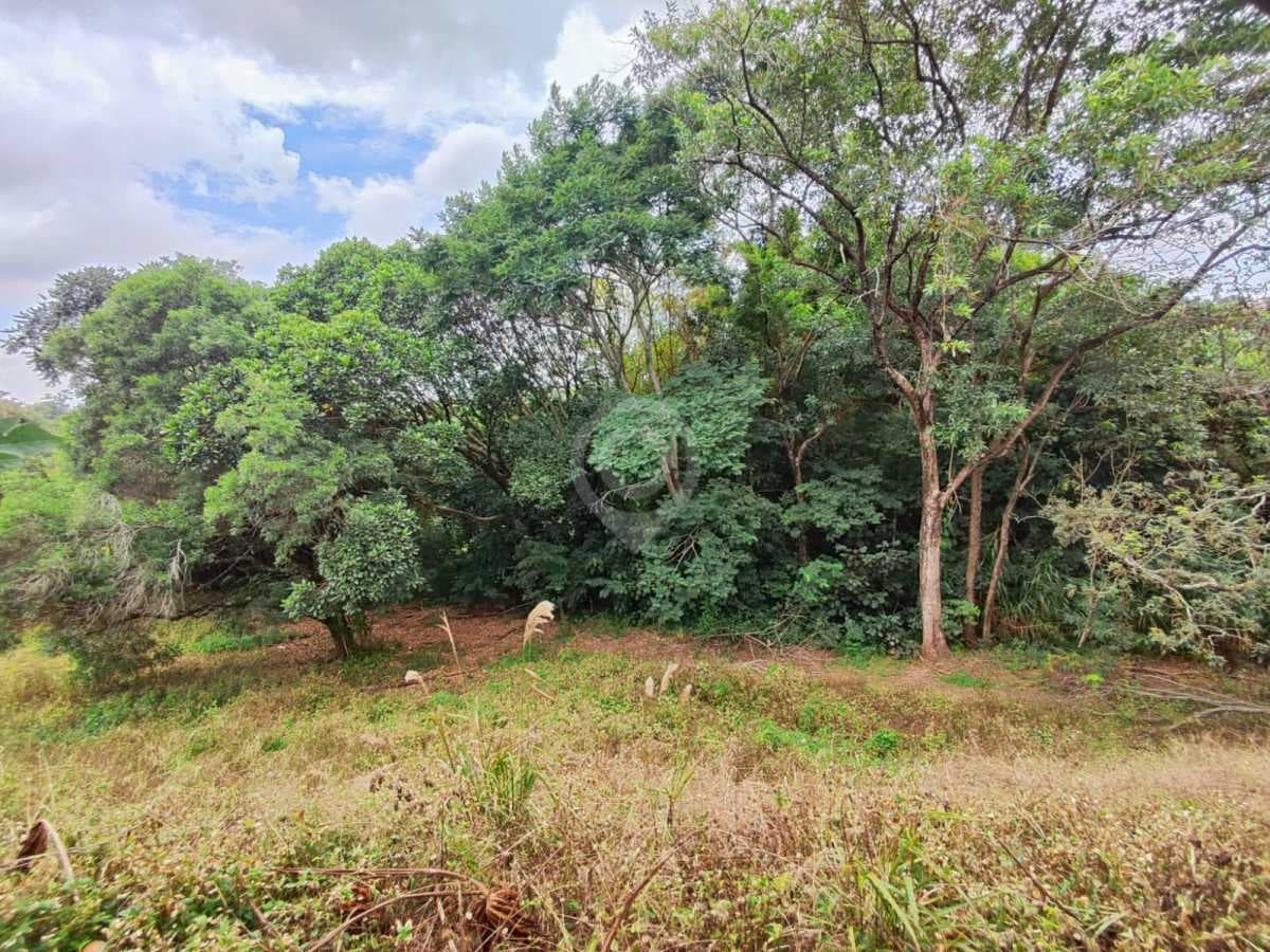 Terreno no Giardino D´ Itália — foto 3