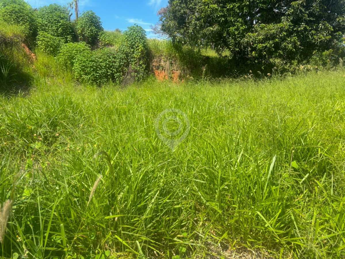 Terreno no Clube de Campo — foto 3