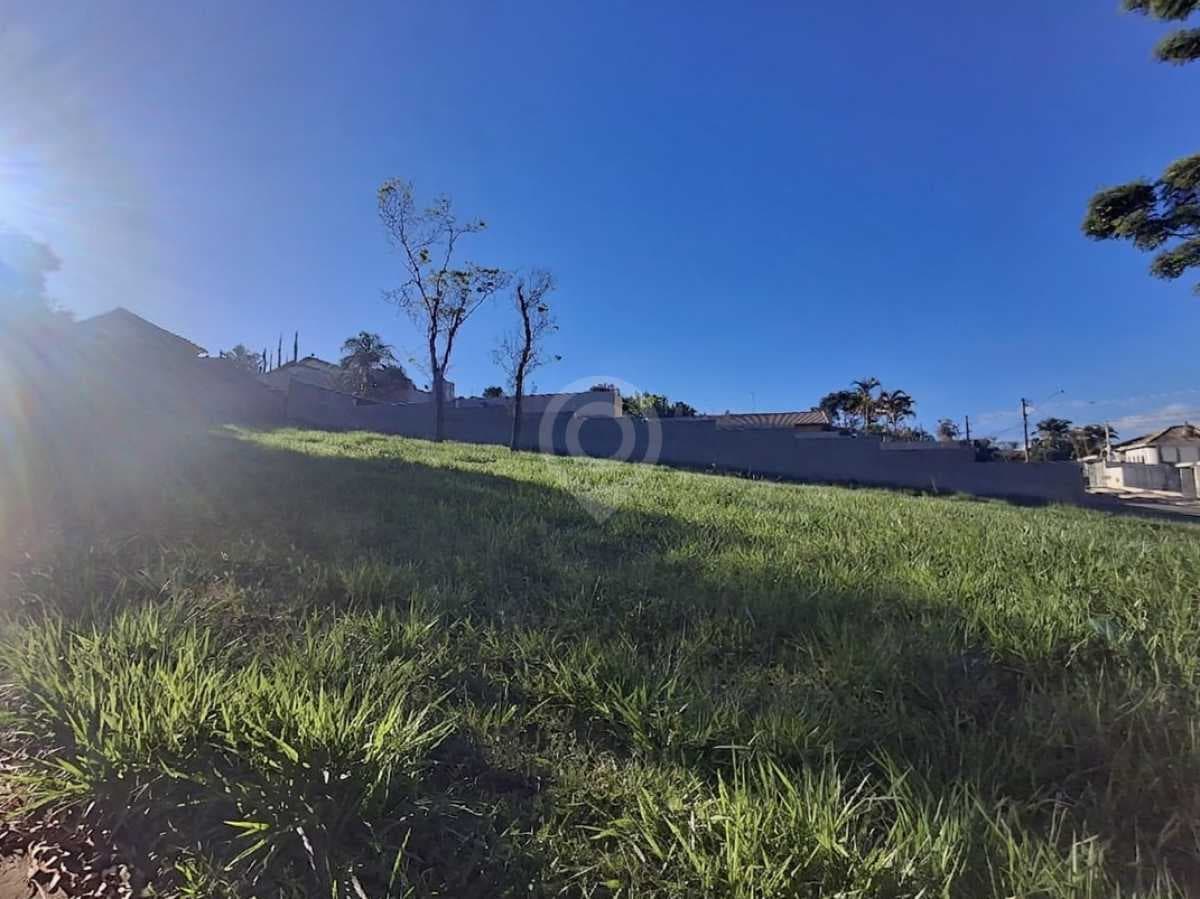 Terreno no Jardim Leonor — foto 2
