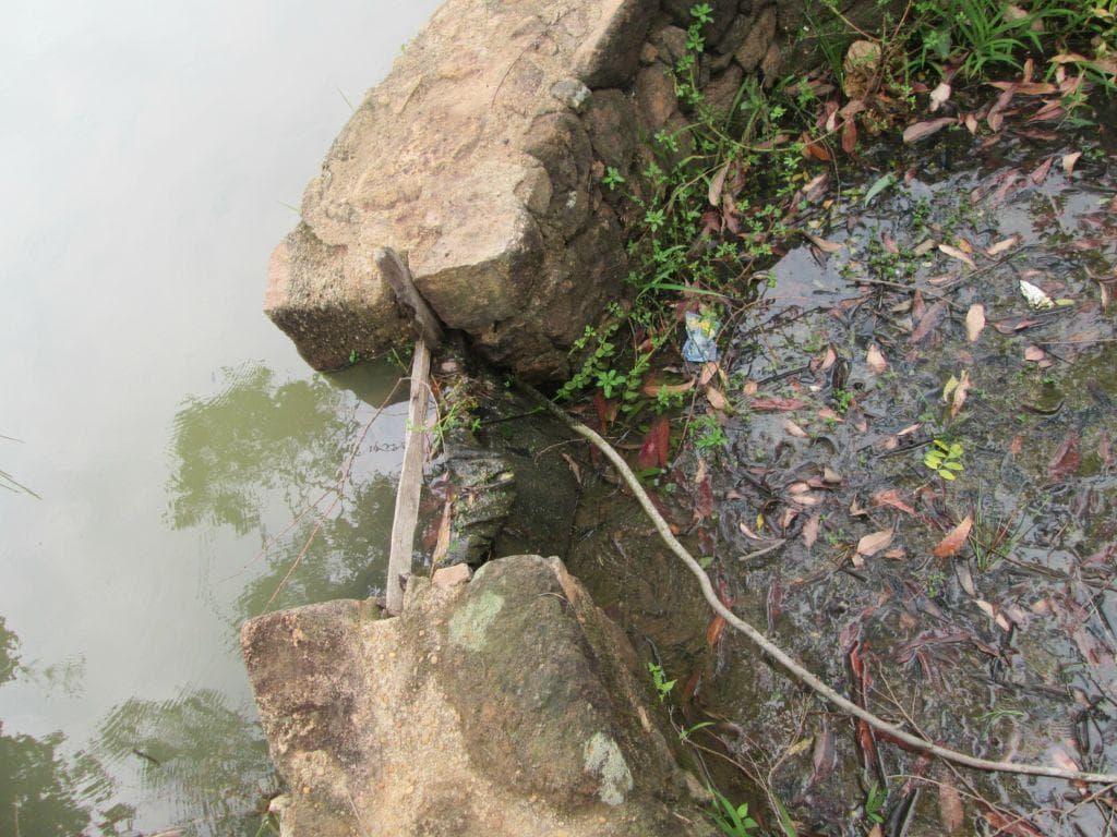 Terreno no Jardim Nossa Senhora das Graças — foto 3