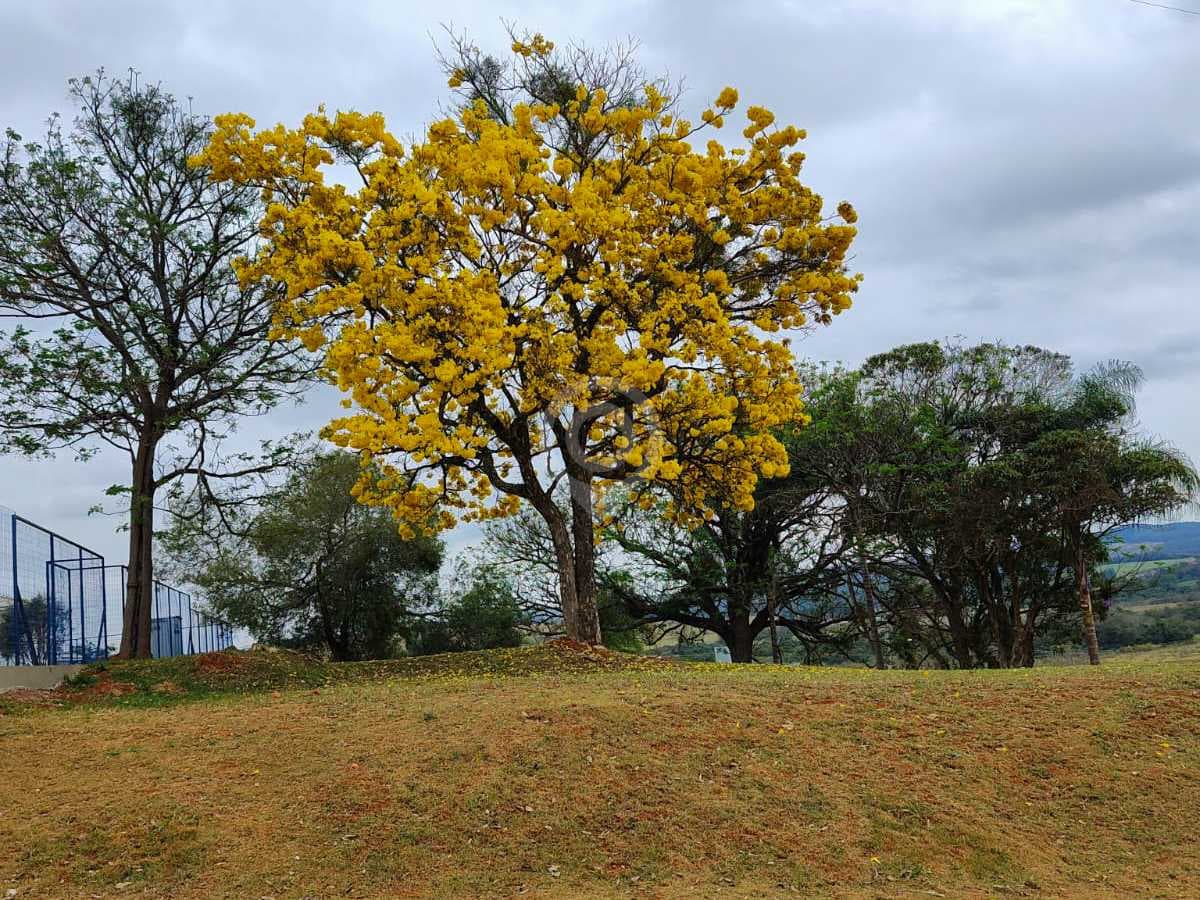 Terreno no Residencial Sete Lagos — foto 2