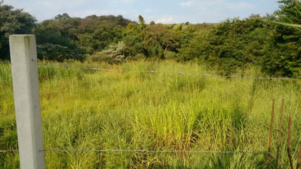 Terreno no Pomar São Jorge — foto 2