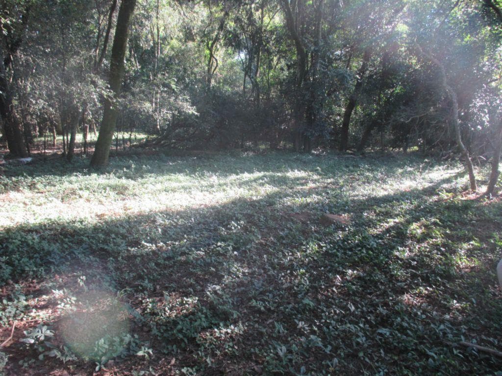 Terreno no Bairro da Ponte — foto 2