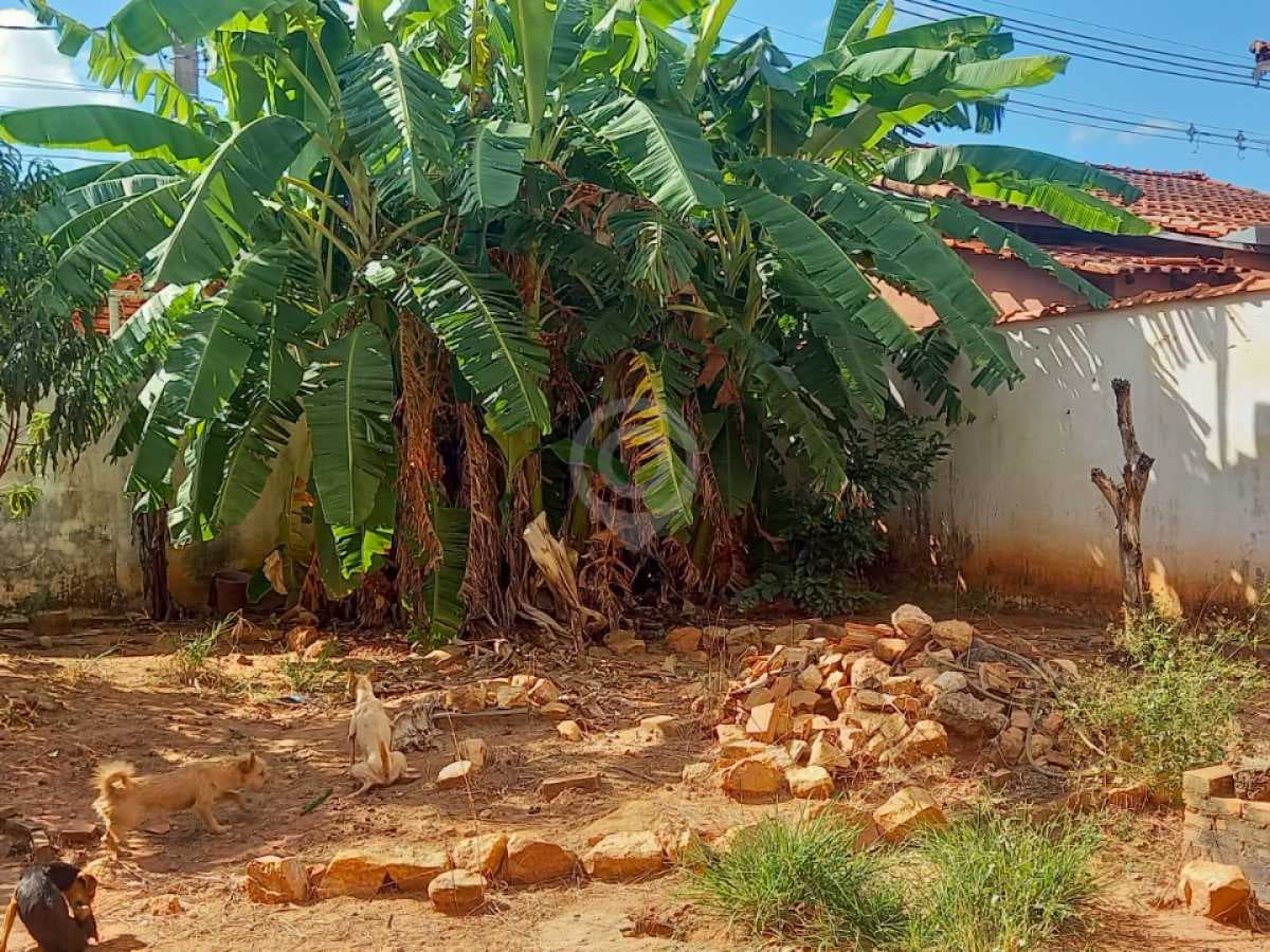 Casa de rua com 1 suíte no Centro — foto 3