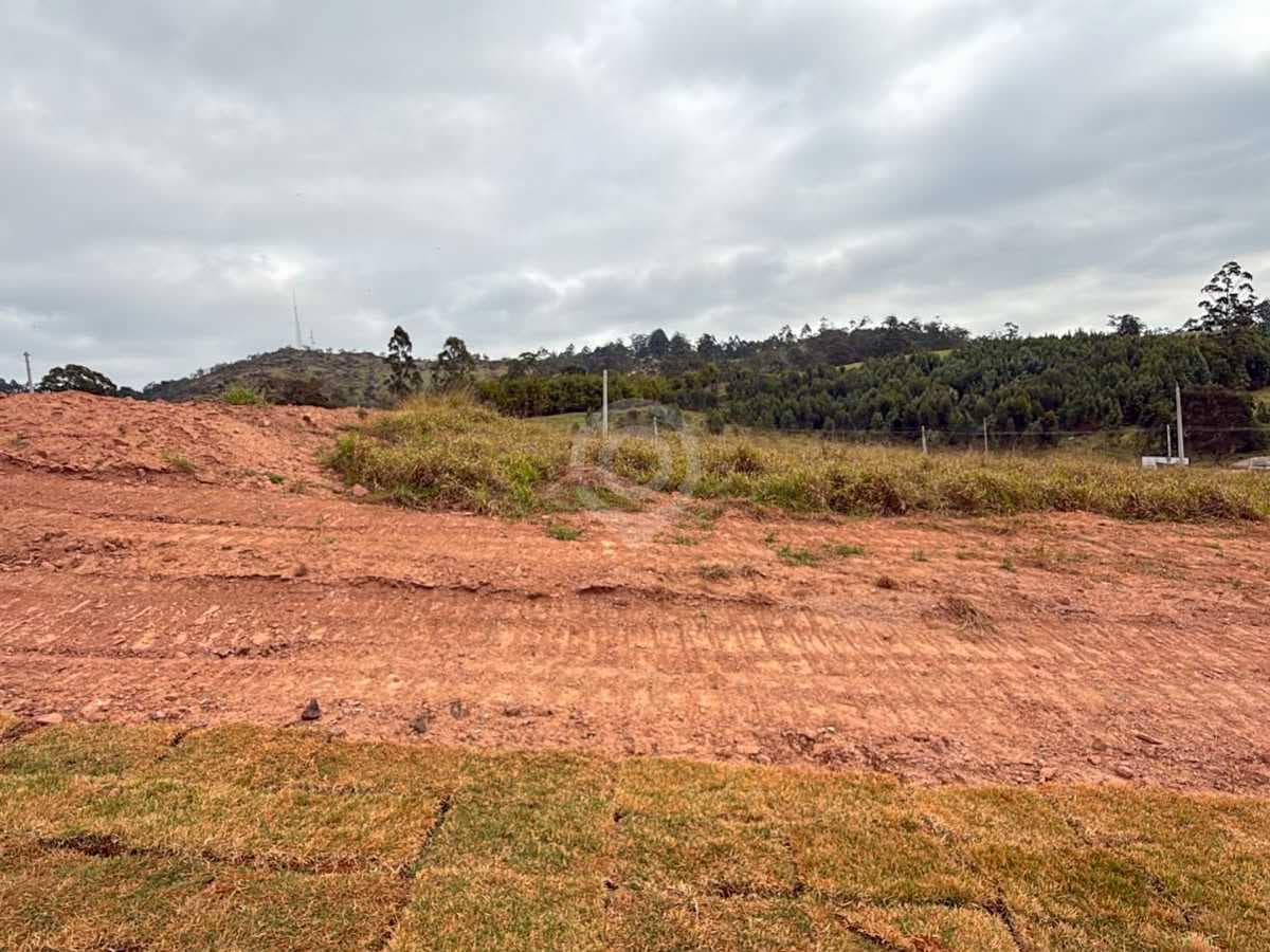 Terreno no Parque dos Antúrios