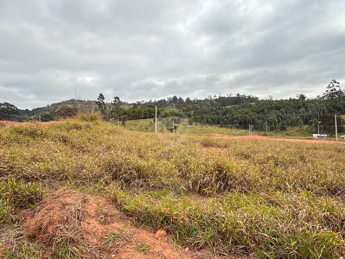 Terreno no Parque dos Antúrios — foto 2