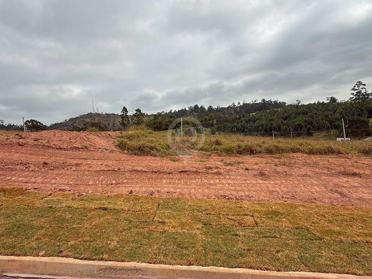 Terreno no Parque dos Antúrios — foto 3