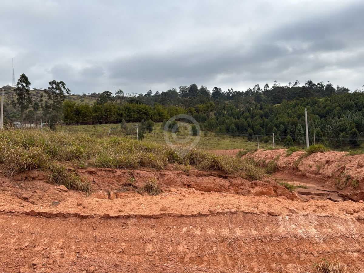 Terreno no Parque dos Antúrios — foto 2