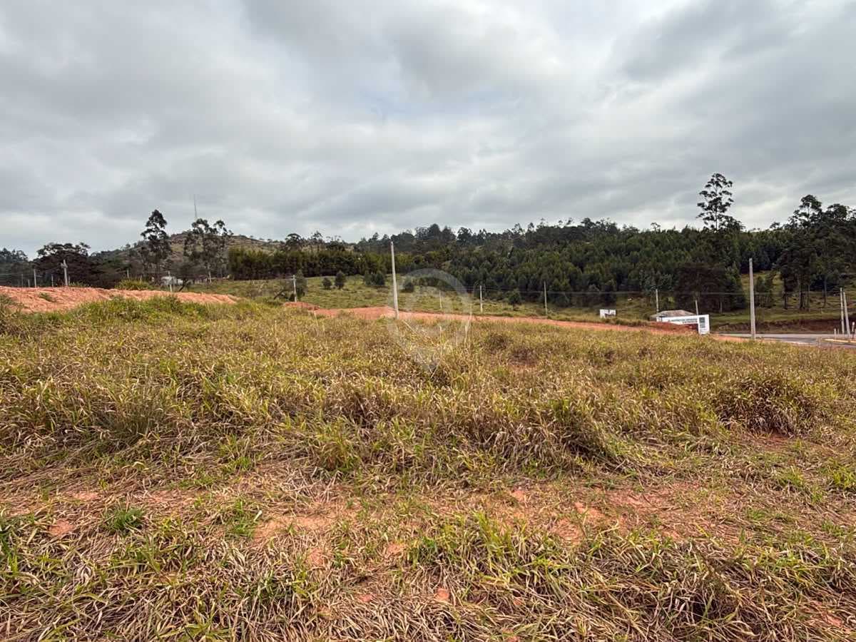 Terreno no Parque dos Antúrios
