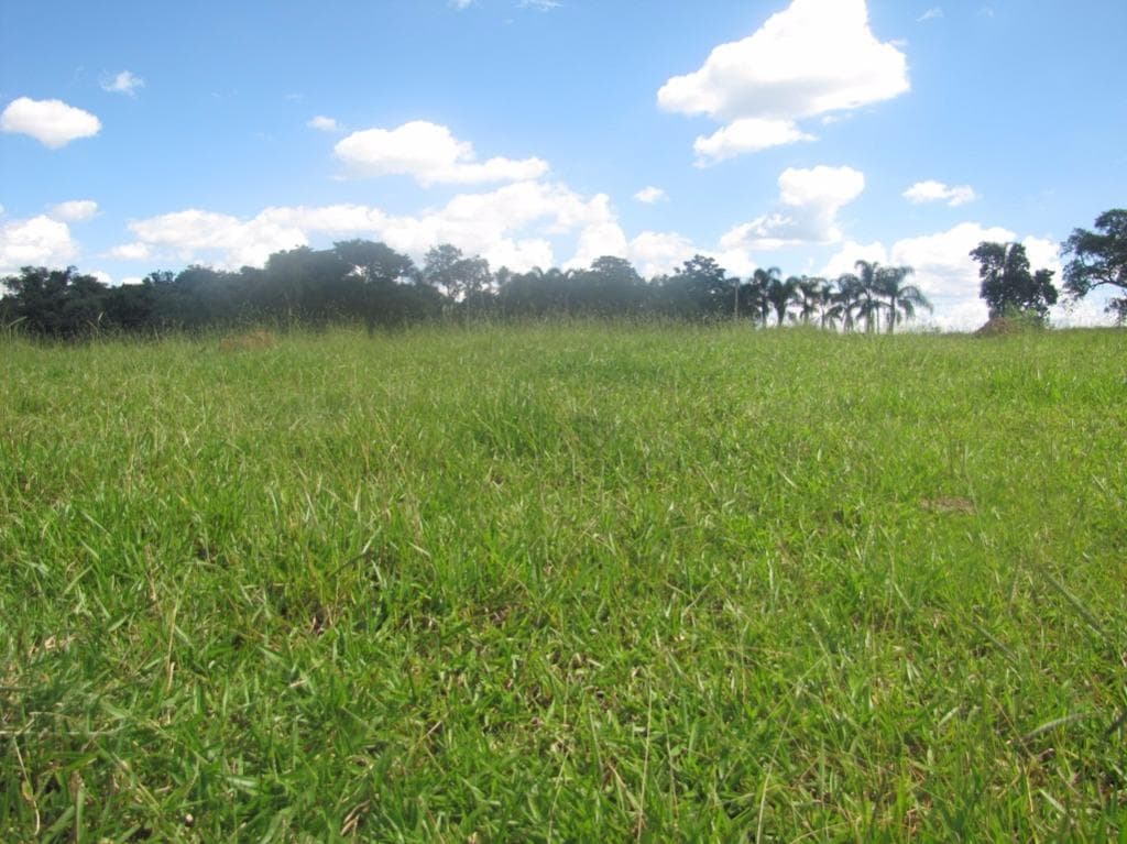 Terreno no Sítio da Serra — foto 3