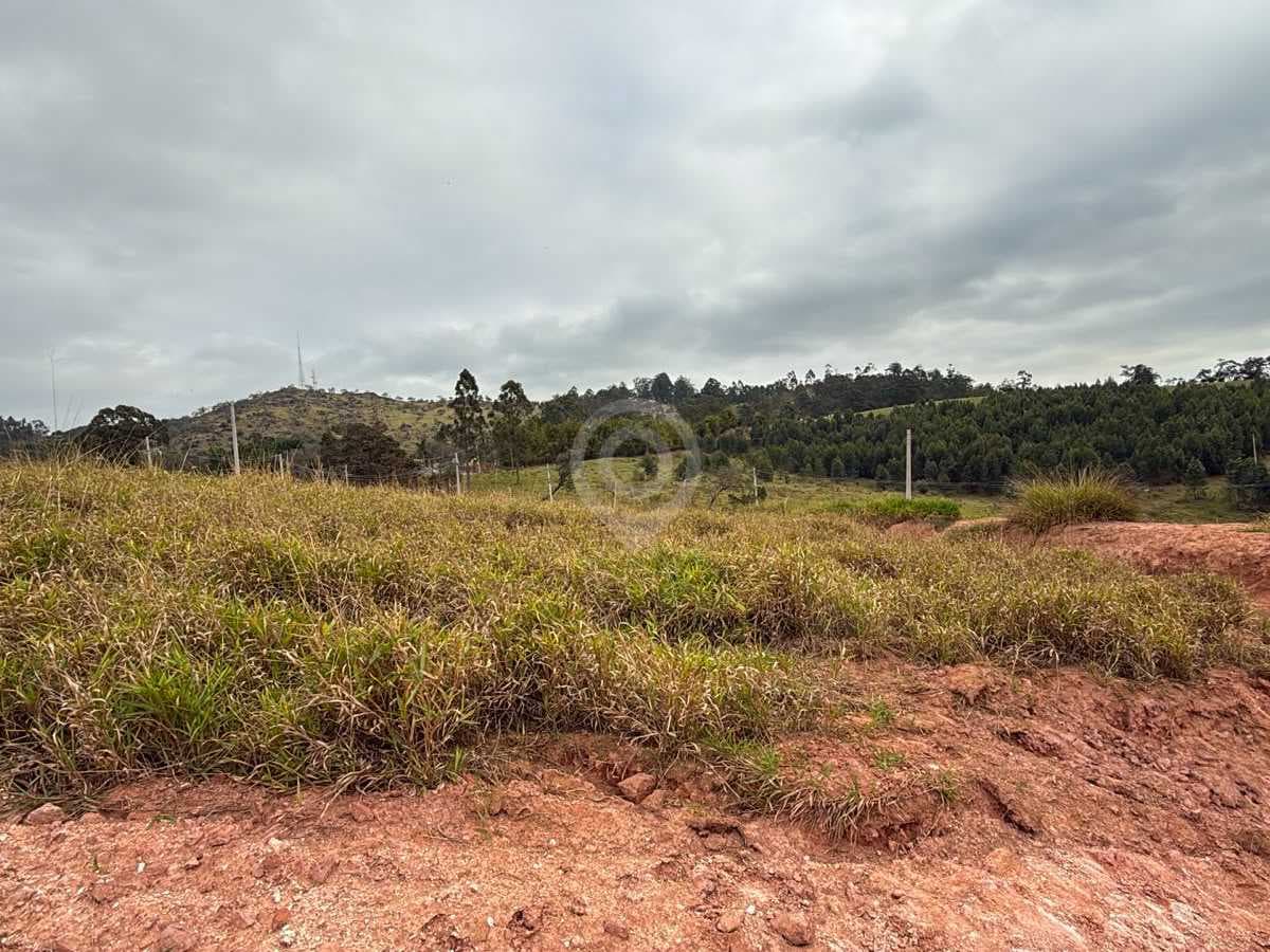 Terreno no Parque dos Antúrios — foto 2