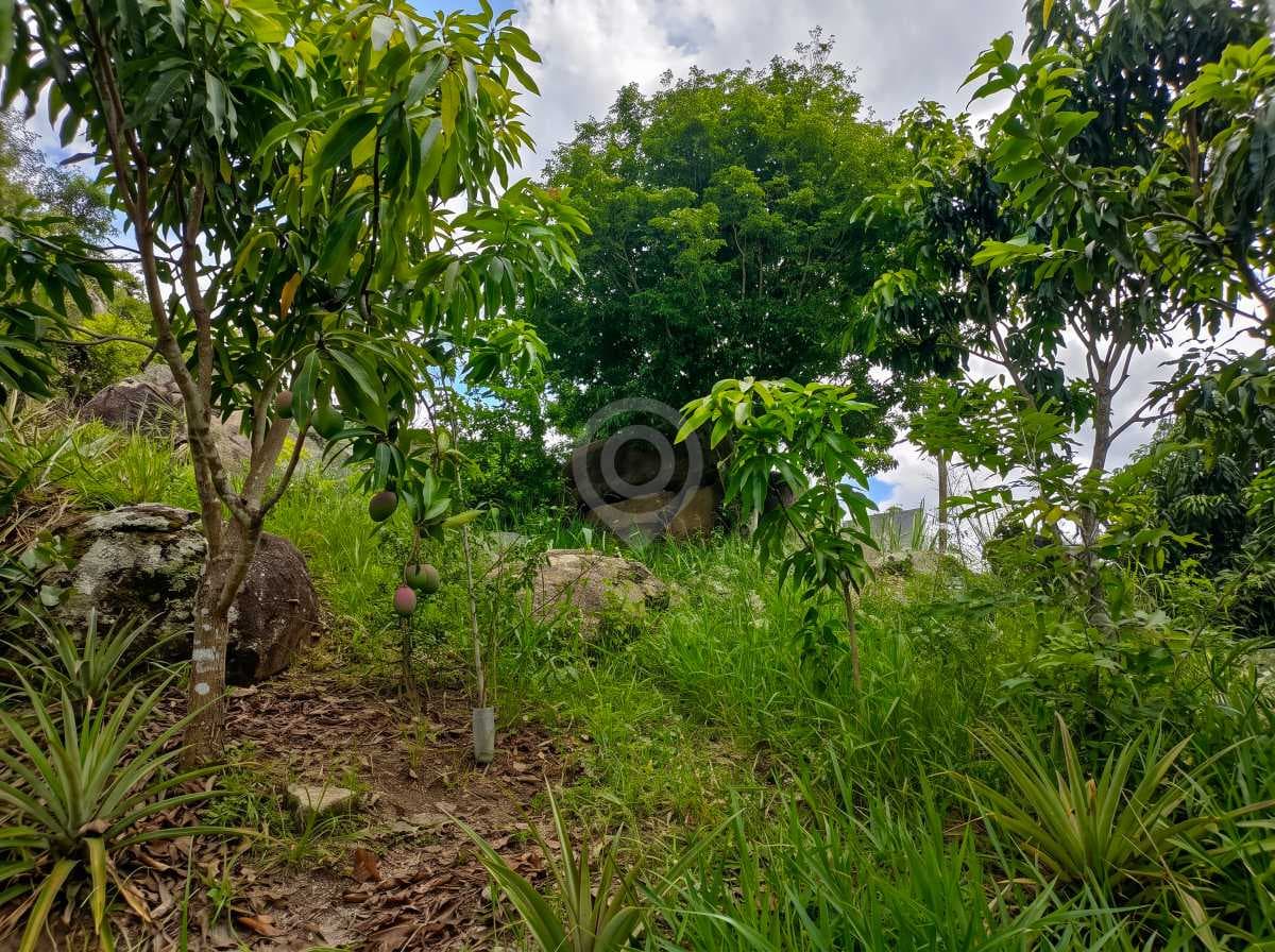 Terreno no Vivendas do Engenho D´Água — foto 2
