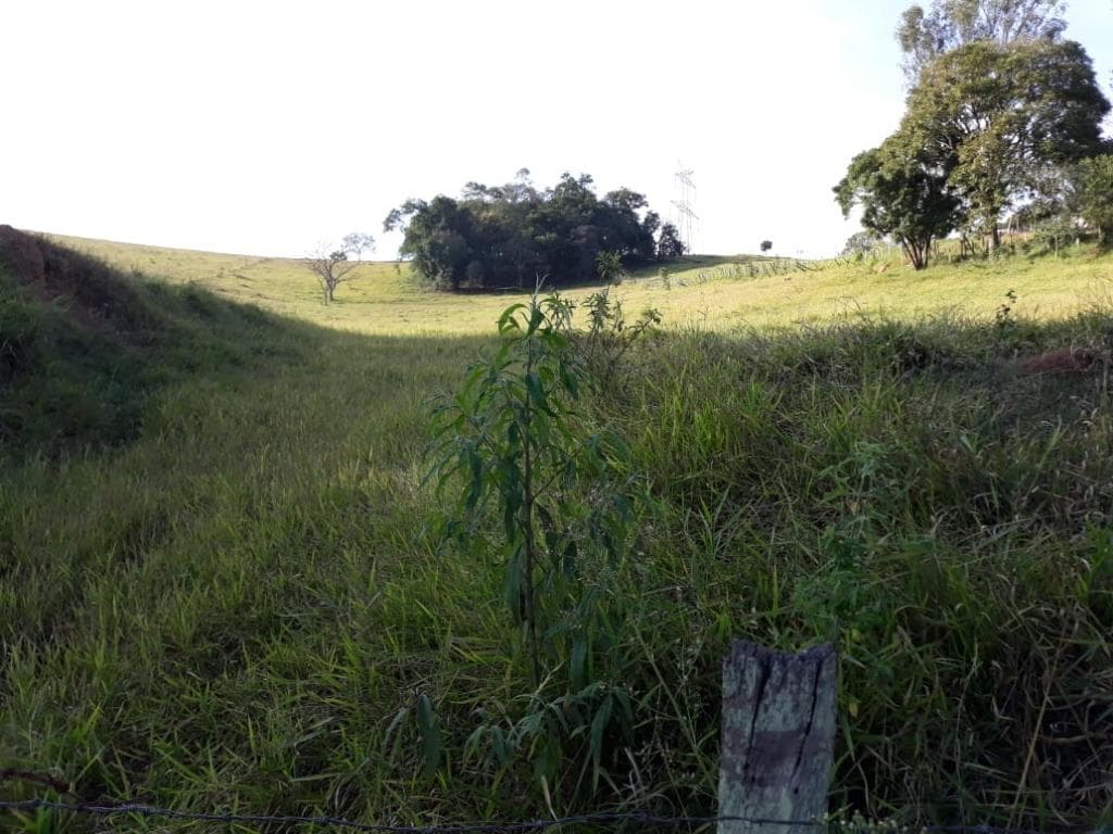 Terreno no Jardim das Nações — foto 3
