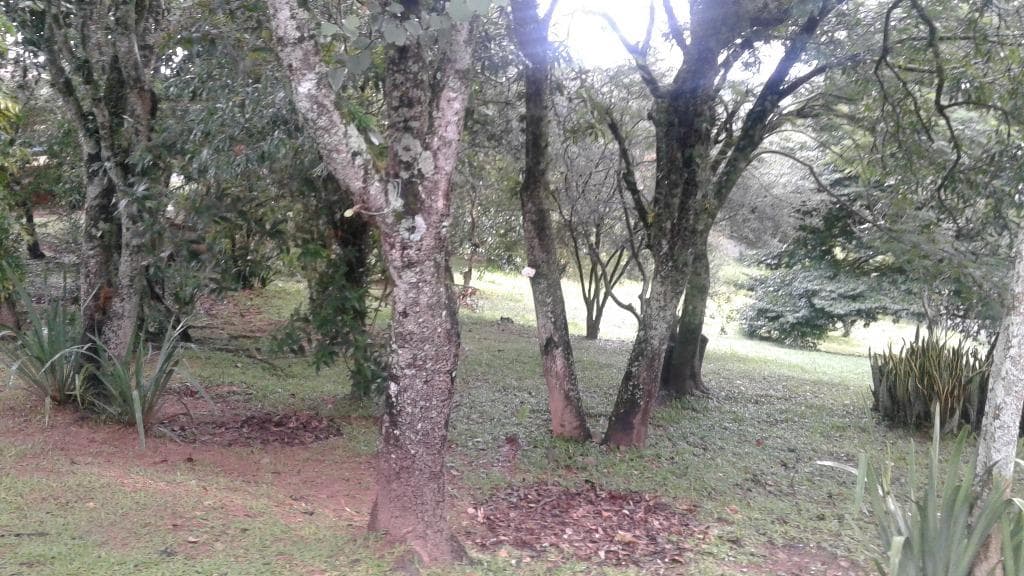 Chácara com 4 quartos no Jardim Flaiban — foto 3