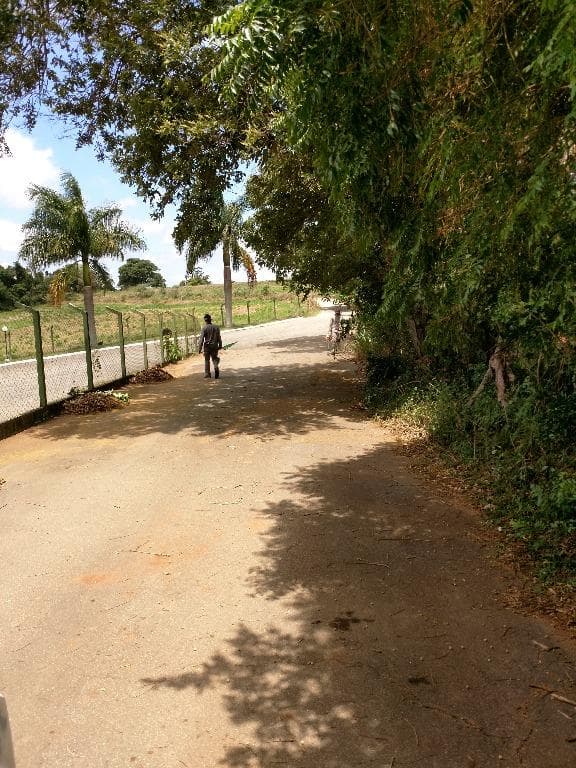Haras no Centro — foto 3