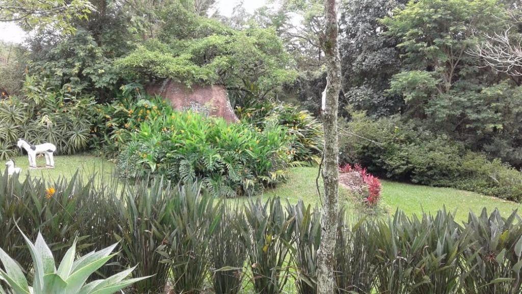 Sítio com 3 quartos no Centro