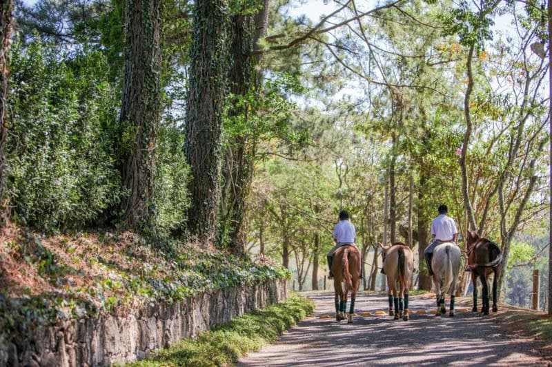 Terreno no Fazenda Santo Antonio das Paineiras — foto 3