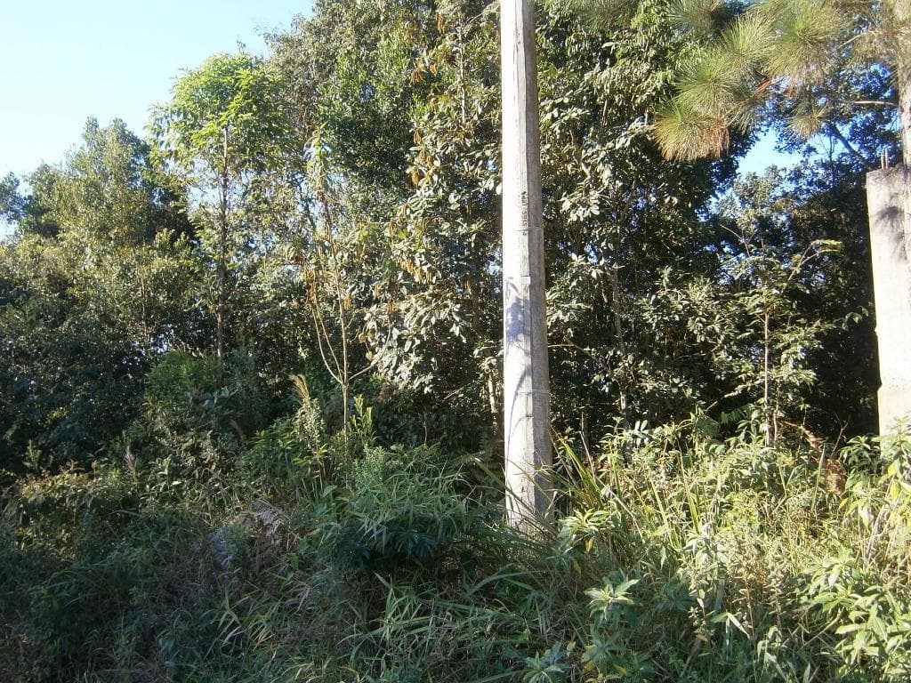 Terreno no Real Parque Dom Pedro I — foto 2
