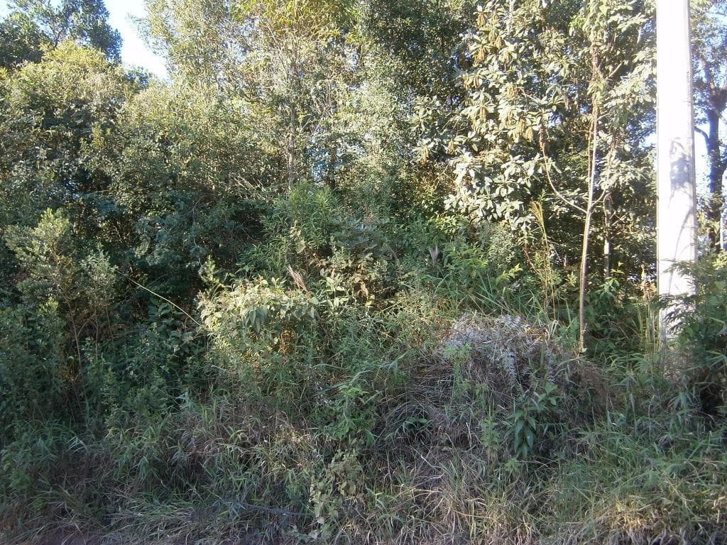 Terreno no Real Parque Dom Pedro I — foto 3