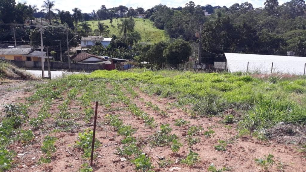 Terreno no Jardim Nossa Senhora das Graças — foto 2