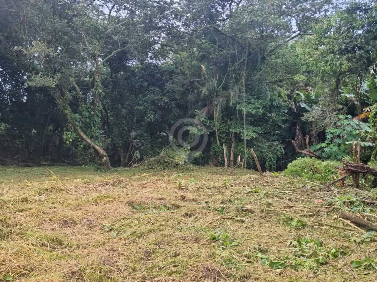 Terreno no Jardim Leonor — foto 2