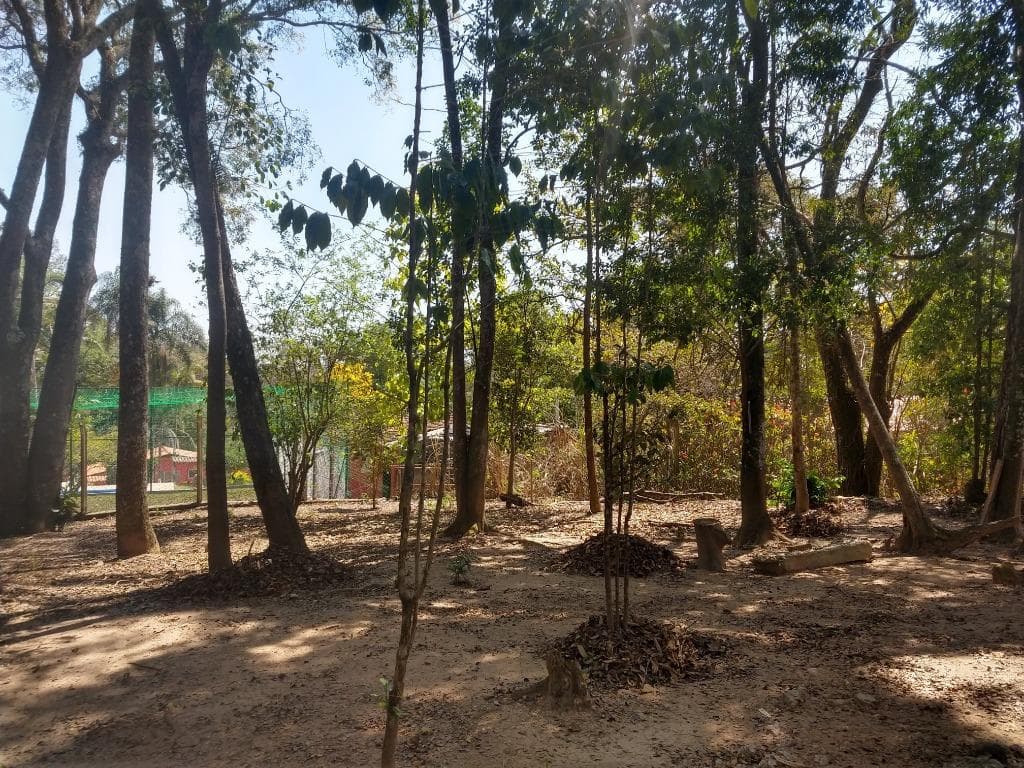 Terreno no Pomar São Jorge