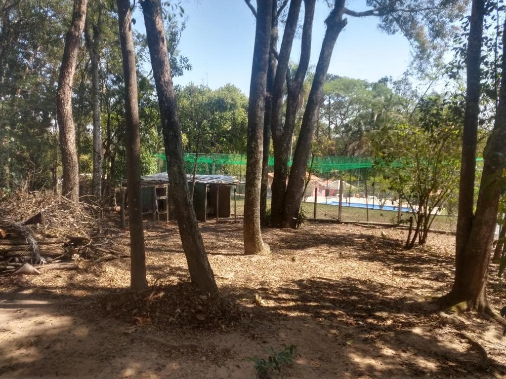 Terreno no Pomar São Jorge — foto 2