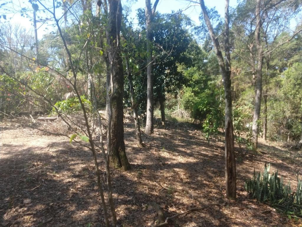 Terreno no Pomar São Jorge — foto 3