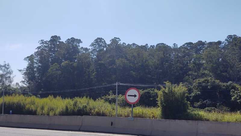 Sítio no Pomar São Jorge — foto 3