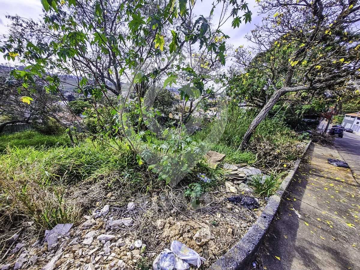 Terreno no Jardim Ipê — foto 3