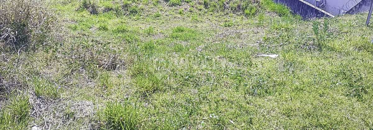 Terreno no Loteamento Morrão Da Força — foto 3